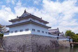 画像1: 静岡市内から駿府公園や浅間神社や芹沢美術館を見学して静岡市内ヘのタクシー手配