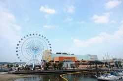 画像1: 静岡市内から駿府公園や浅間神社や県立美術館やエスパルスドリームプラザや東海大学人体科学博物館や梅䕃寺や次郎長生家を見学して静岡市内ヘのタクシー手配