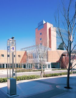 画像1: 静岡空港から浜松市楽器博物館や浜松城やフラワーパークやかんざんじロープウェイやうなぎパイ本舗を見学して浜松市内ヘのタクシー手配