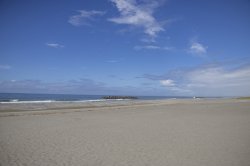 画像1: 浜松市内から浜松城や浜松市博物館や蜆塚遺跡や加茂生誕地や米津台遺跡や中田島砂丘やまつり会館を見学して浜松市内ヘのタクシー手配