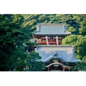 画像: 鎌倉市内から円覚寺や建長寺や鶴岡八幡宮や鎌倉宮や瑞泉寺や報国寺や大仏や長谷寺を見学して横浜市内へのタクシー手配