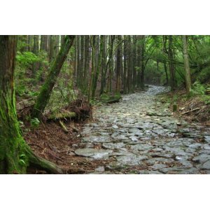 画像: 小田原市内から本間寄木美術館や箱根ガラスの森やポーラ美術館や大湧谷や観光船や箱根関所跡や旧街道杉並木や旧街道石畳を見学して箱根湯本温泉へのタクシー手配