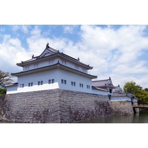 画像: 静岡市内から駿府公園や浅間神社や芹沢美術館を見学して静岡市内ヘのタクシー手配