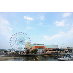 画像: 静岡空港から駿府公園や浅間神社や県立美術館やエスパルスドリームプラザや東海大学人体科学博物館や梅䕃寺や次郎長生家を見学して静岡市内ヘのタクシー手配