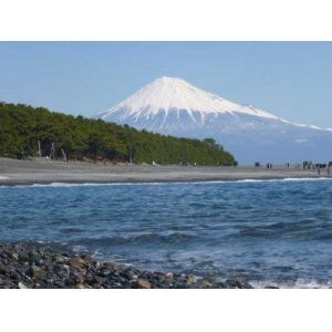 画像: 静岡空港から日本平や久能山東照宮や博物館や三保羽衣の松を見学して静岡市内ヘのタクシー手配