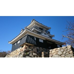 画像: 浜松市内から浜松市楽器博物館や浜松城や蜆塚遺跡や浜松市博物館やフラワーパークや遊覧船を見学して舘山寺温泉ヘのタクシー手配