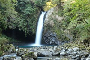 画像1: 伊東温泉から中伊豆ワイナリーや修善寺や浄蓮の滝や天城峠や河津七滝や下田ロープウエイや宝福寺や了仙寺を見学して下田温泉へのタクシー手配