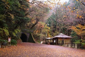 画像1: 下田温泉から河津七滝や天城峠や浄蓮の滝や修禅寺や大室山や城ケ崎海岸や玉泉寺や了仙寺を見学して下田温泉へのタクシー手配