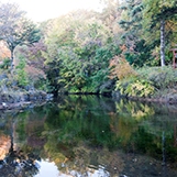 画像1: 河口湖から忍野八海や富士山五合目やビジターセンターを見学して河口湖へのタクシー手配