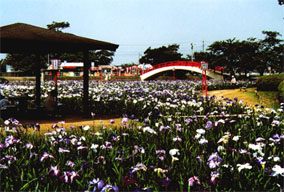 画像1: 豊橋市内から豊川稲荷や砥鹿神社や加茂菖蒲園を見学して豊橋市内ヘのタクシー手配